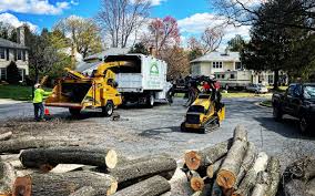 Best Lawn Irrigation Installation and Maintenance  in Westwood, NJ