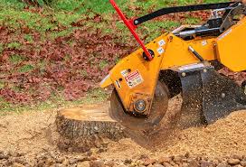 Best Stump Grinding and Removal  in Westwood, NJ